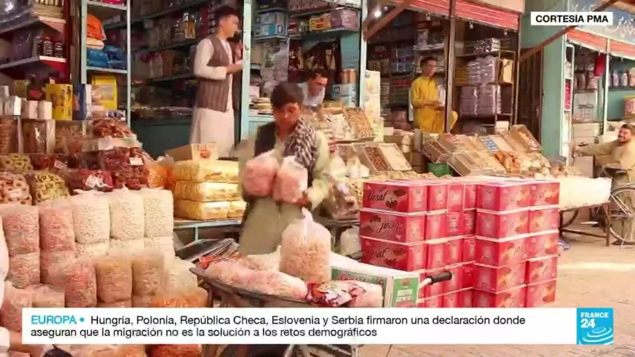 La crisis en Afganistán eleva la inseguridad alimentaria en los sectores urbanos