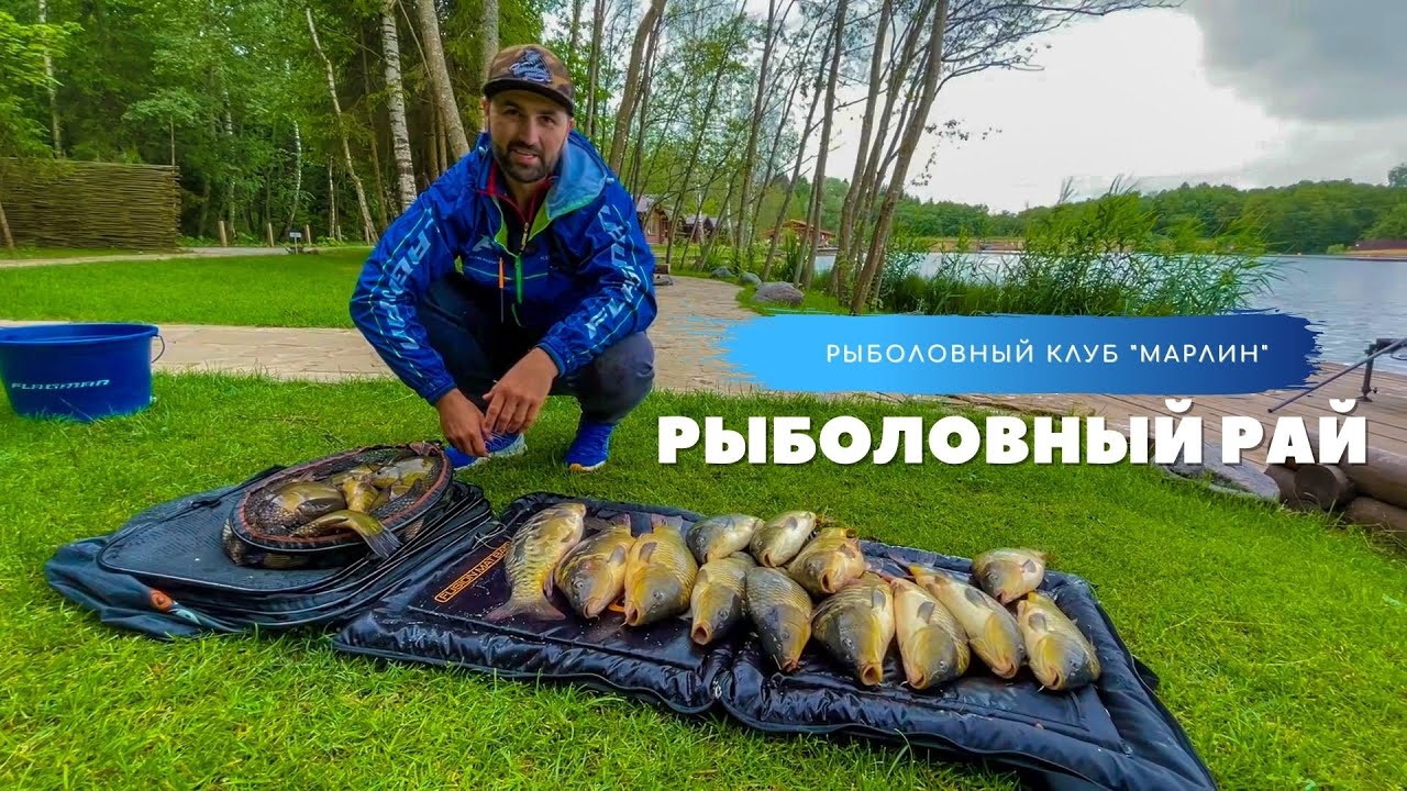 Бешеный клев линя и карпа, еле поднял садок! Рыбалка на фидер летом. РК Марлин