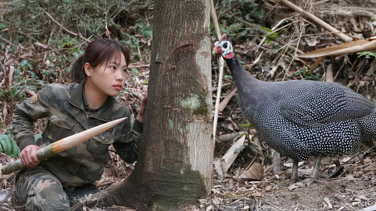 wild pheasant hunting, wild bird trapping skills, survival alone
