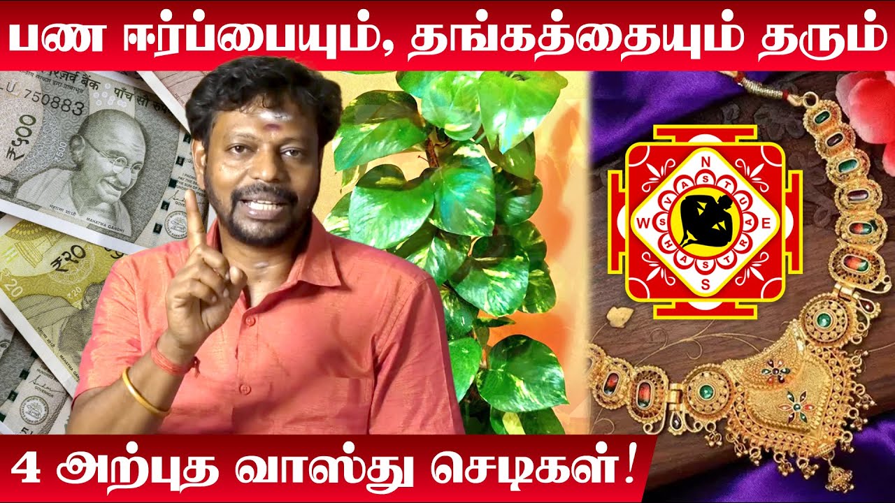 வீட்டில் பணமும், தங்கமும் சேர வளக்க வேண்டிய 4 அற்புத வாஸ்து செடிகள் | Mayan Senthil | Vastu Plants