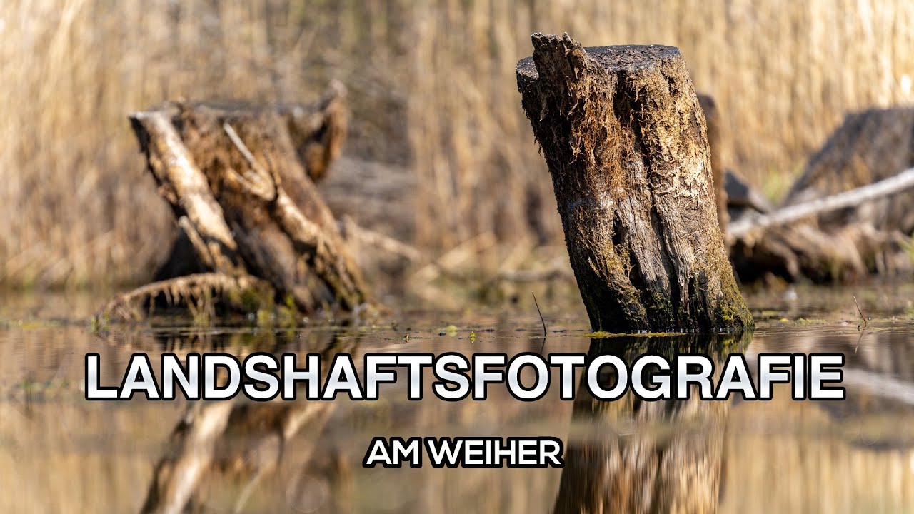 Landschaftsfotografie am Weiher