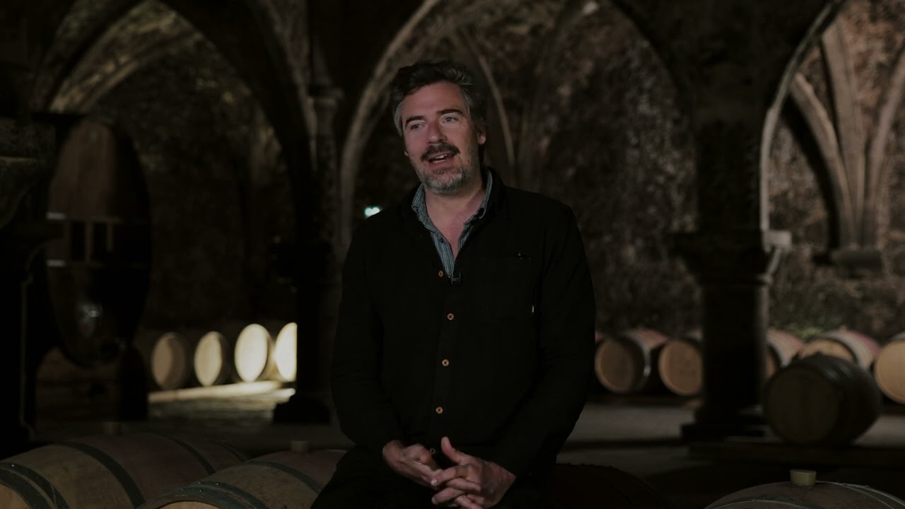 Chateau de St Martin Private Winery Visit with Titanium Tours