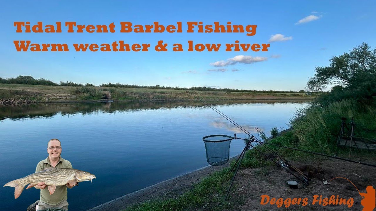 Tidal Trent - Barbel Fishing