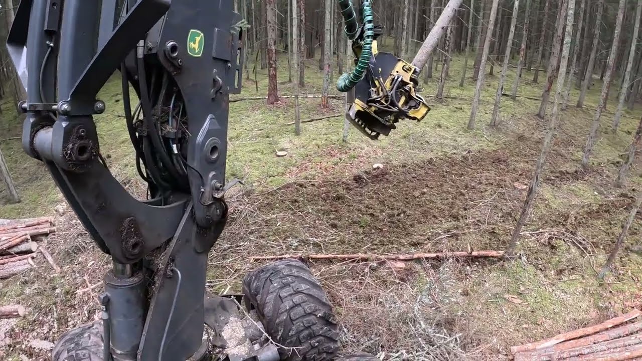 Atrankinis sanitarinis kirtimas | John Deere 1170G | IBC | H413 | MTH