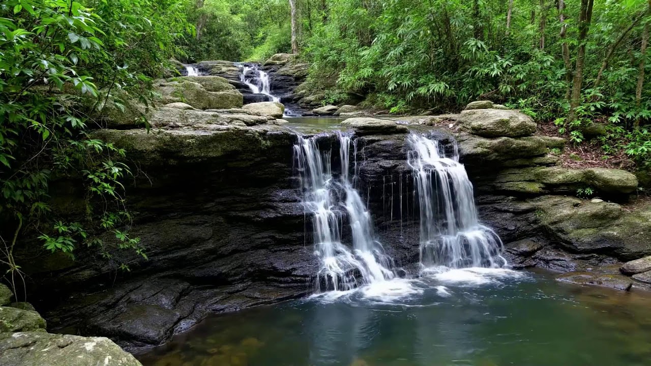 🌬️ Waterfall Sounds & Wind | 12 Hour Live Stream | Relaxing Nature