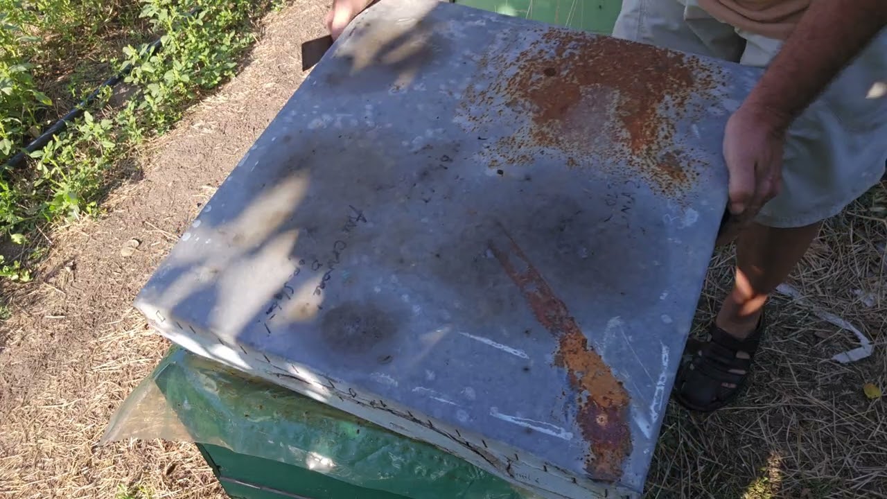 E normal asa ceva în stupi......?!!!!!