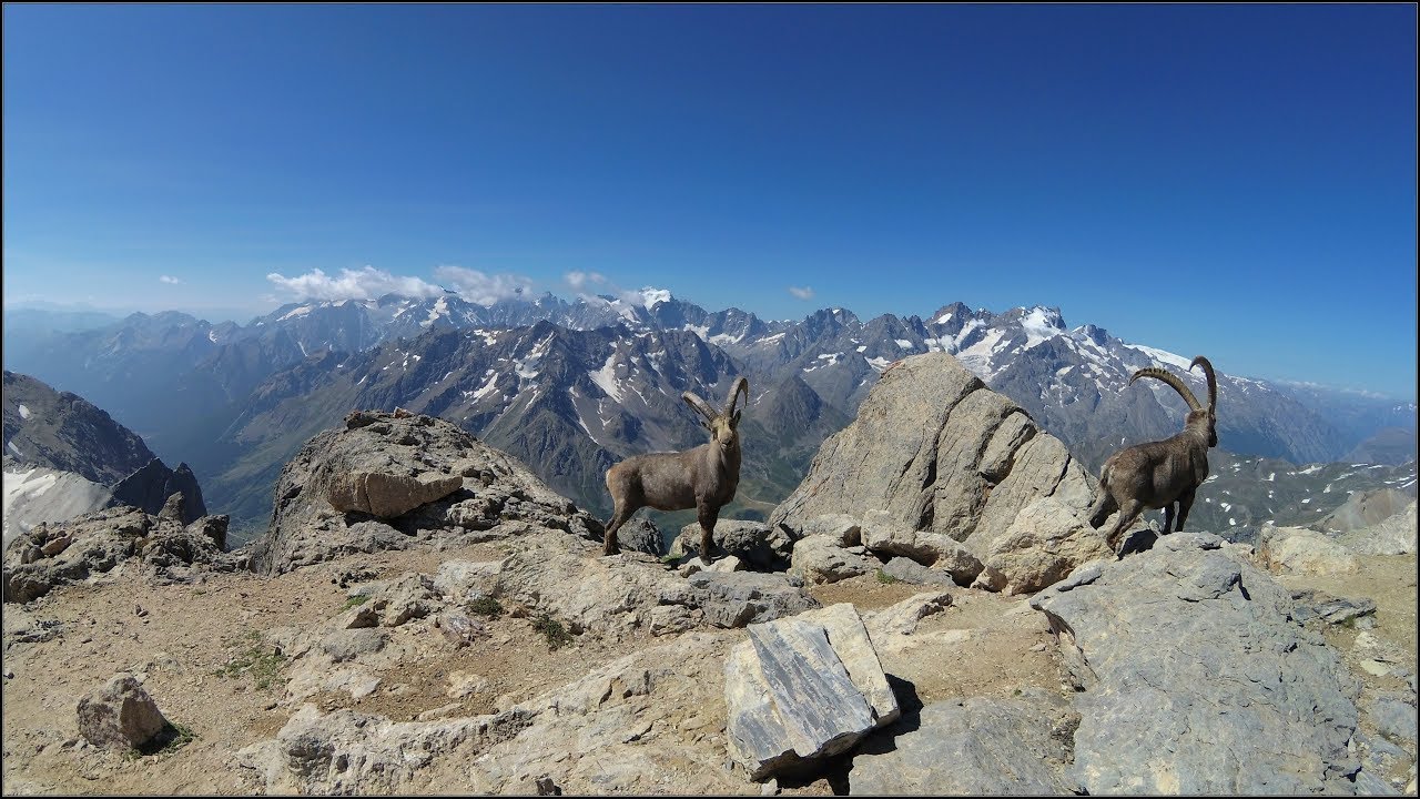 Le Grand Galibier 3228m