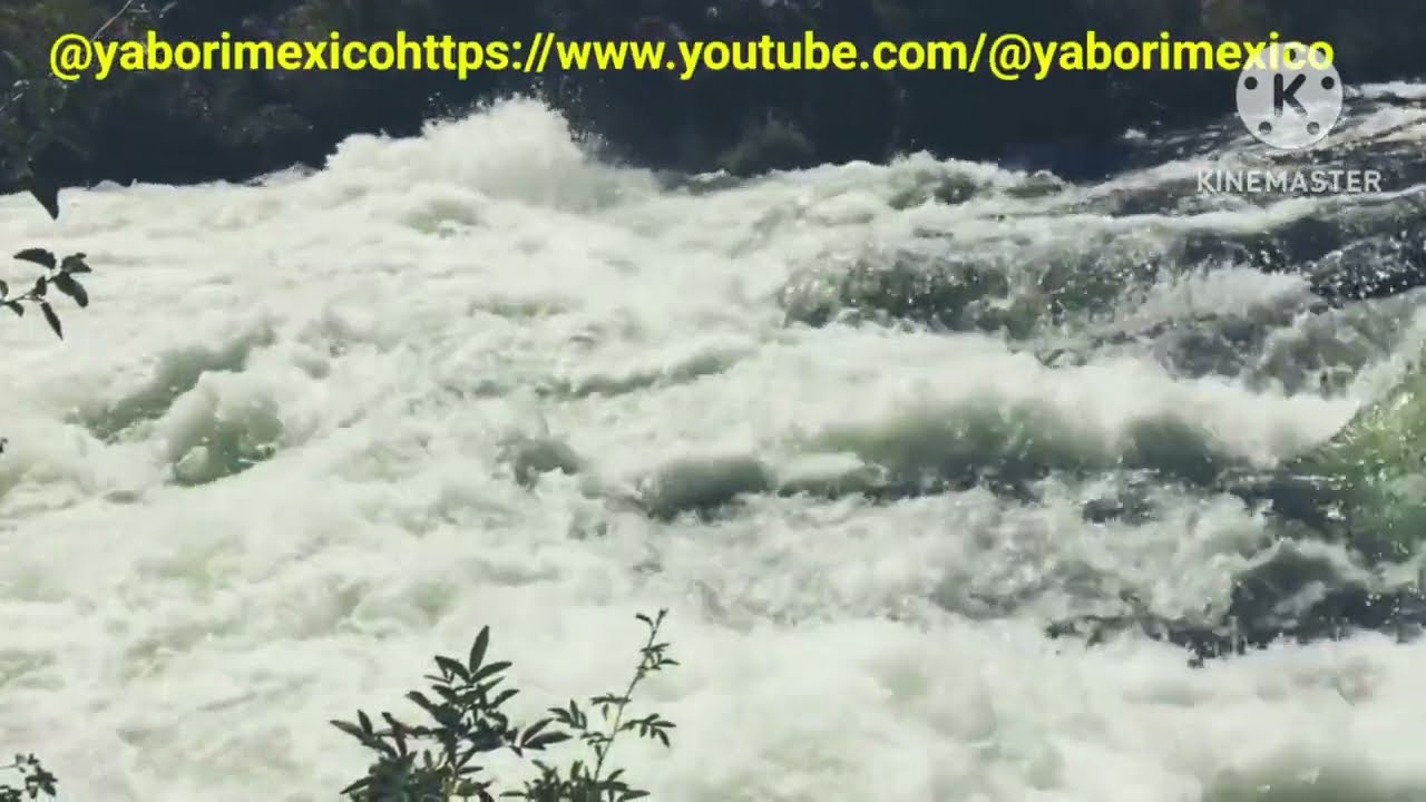 RIVERS OF LIFE 