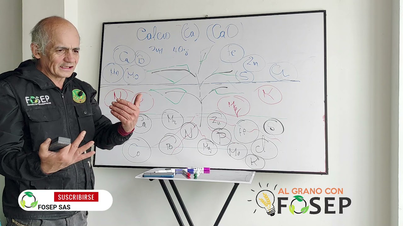 SEGURO QUE NO SABIAS QUE EL CALCIO (Ca) CUMPLE ÉSTAS FUNCIONES EN LAS PLANTAS! - Al grano con FOSEP.