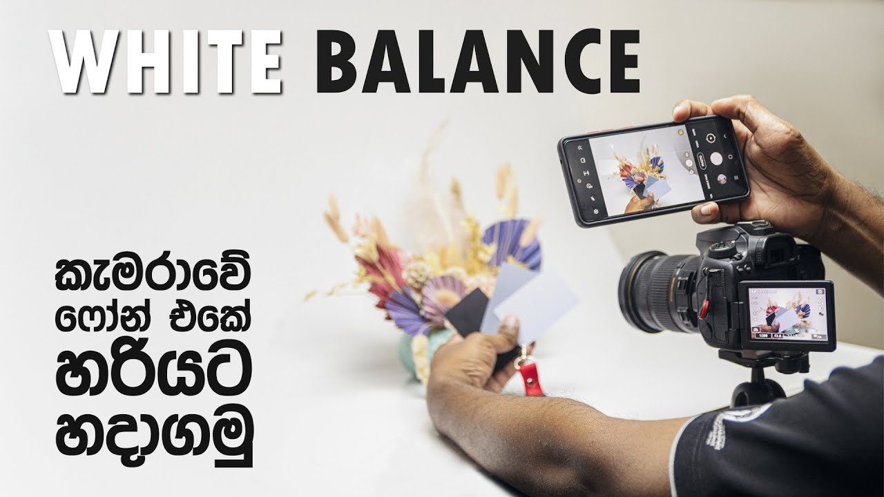 Camera සහ Phone එකෙන් වගේම Post Production එකේදී White Balance එක හරියට හදා ගන්න විදිහ