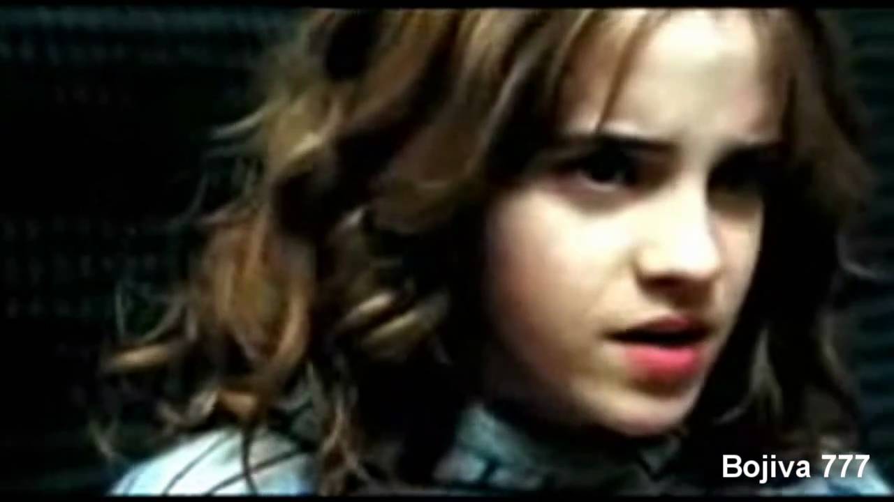 Harry and Hermione  ^^Love history^^