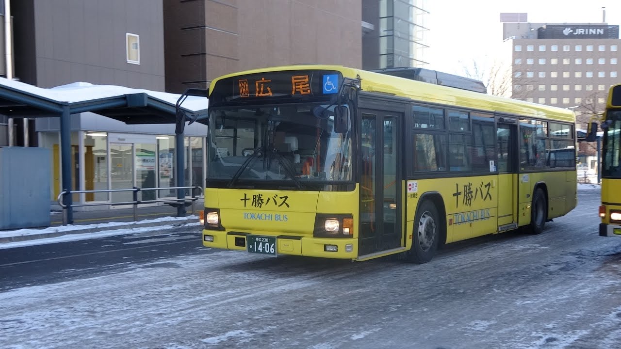 【3DFHD】帯広駅バスターミナルに集うバス達('15.2.6昼～午後)