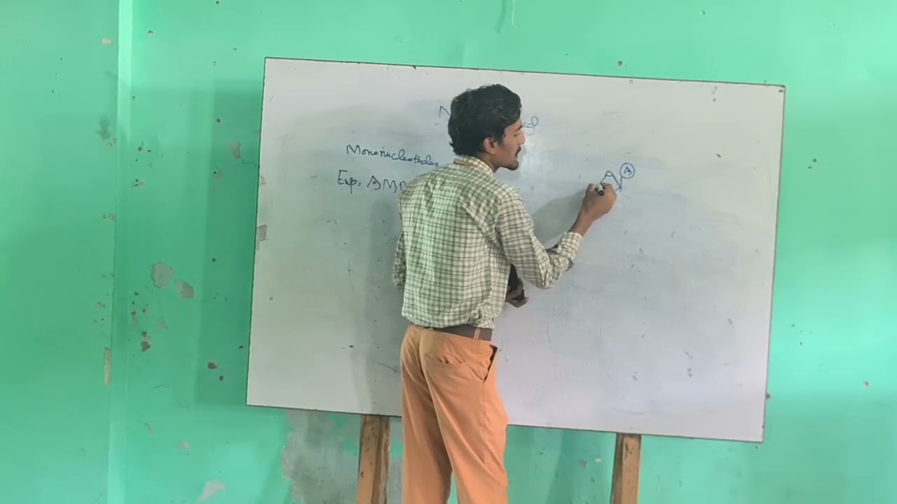 Ever Shine Group of H/Sec: Schools Sobhodero Gambat Ranipur