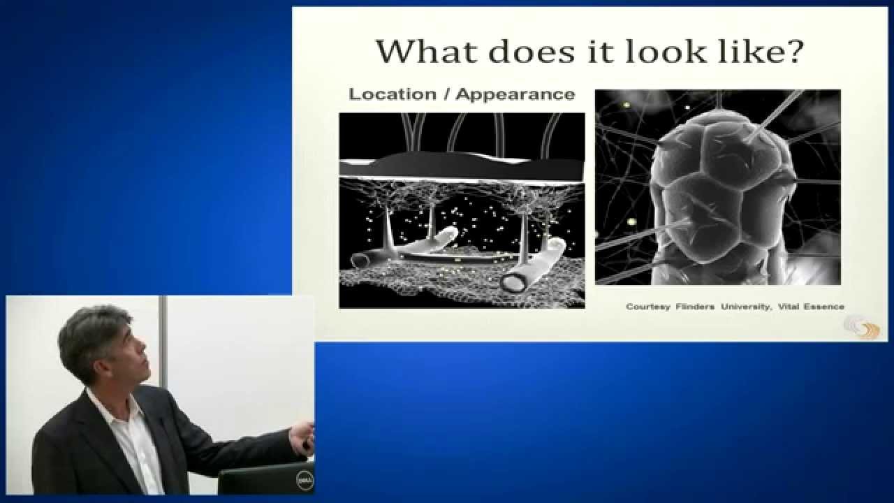 Edema/Lymphedema: May 7 (Full)
