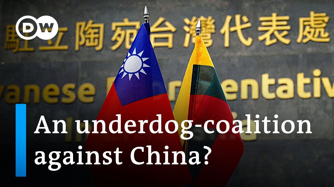 Dispute with China puts Lithuania closer to Taiwan and Australia | DW News