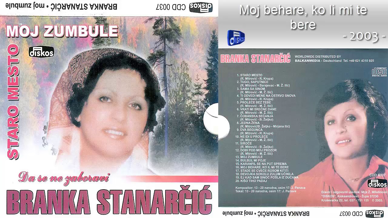 Branka Stanarcic - Moj behare, ko li mi te bere - (Audio 2003)