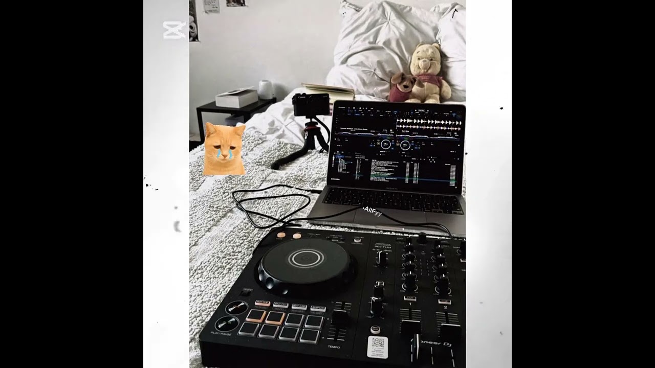 ហេតុអ្វីយកគេជំនួសបង 2025 /Allfyy Remix /-Sad💔