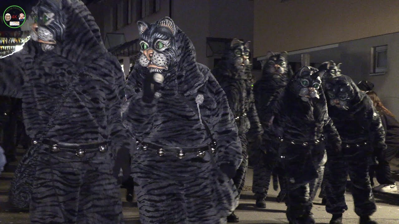 Fasnet, Nachtumzug in Eningen Teil1
