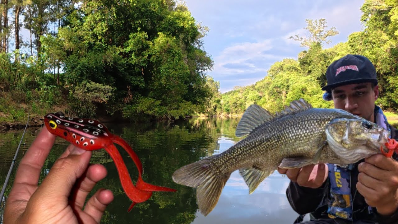 Wild river bass Mayhem!!