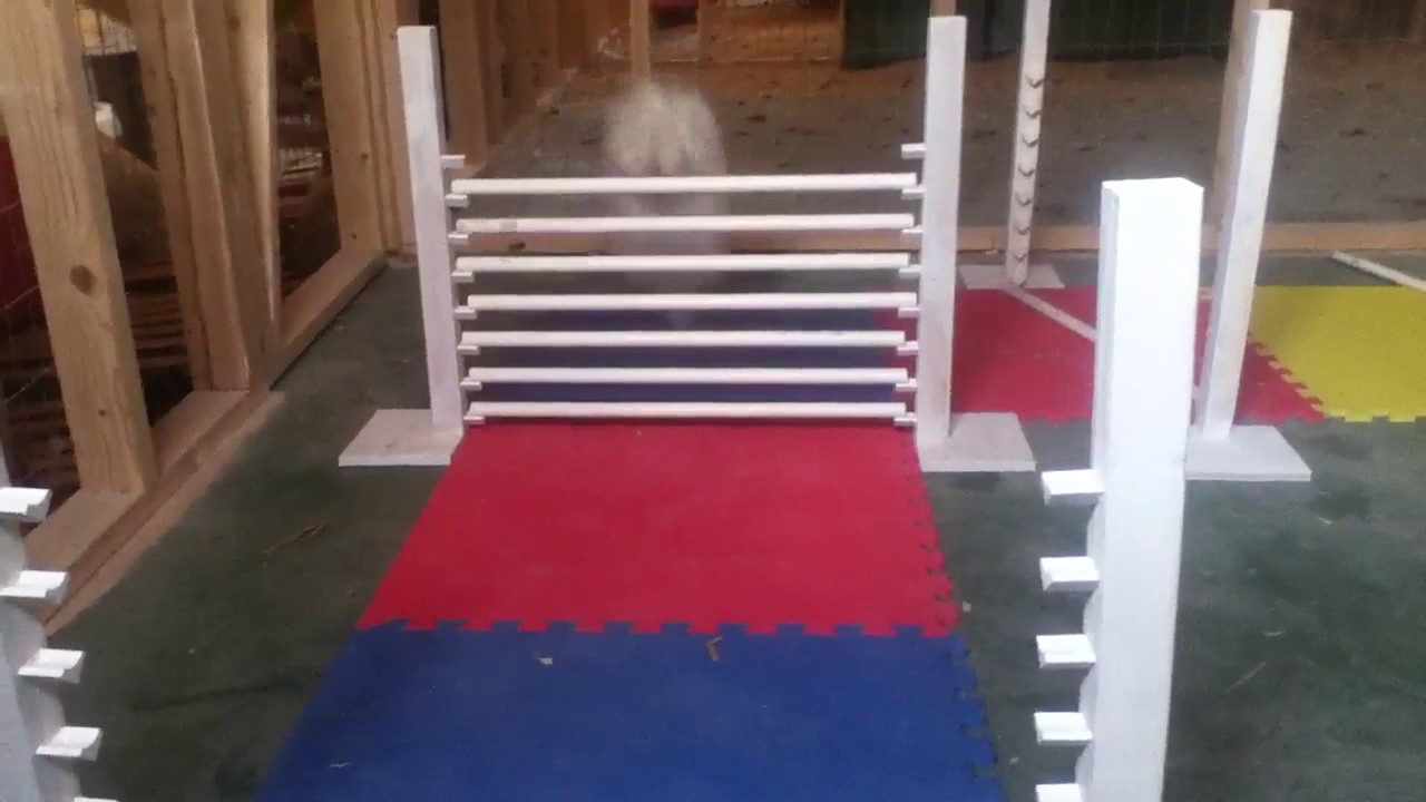 More Rabbit Hopping- High Jump Caught on Tape