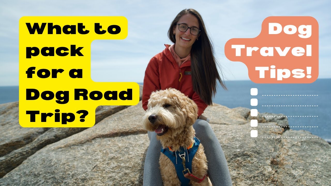 Tips for Traveling With Dogs | Dog Road Trip Packing Essentials