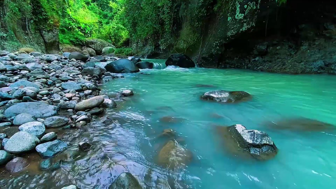 Forest River Gentle Water, Mountain Stream Flow, Sleep