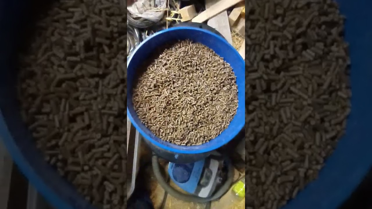 machine a pellet artisanale suite +vitesse de rotation de la matrisse