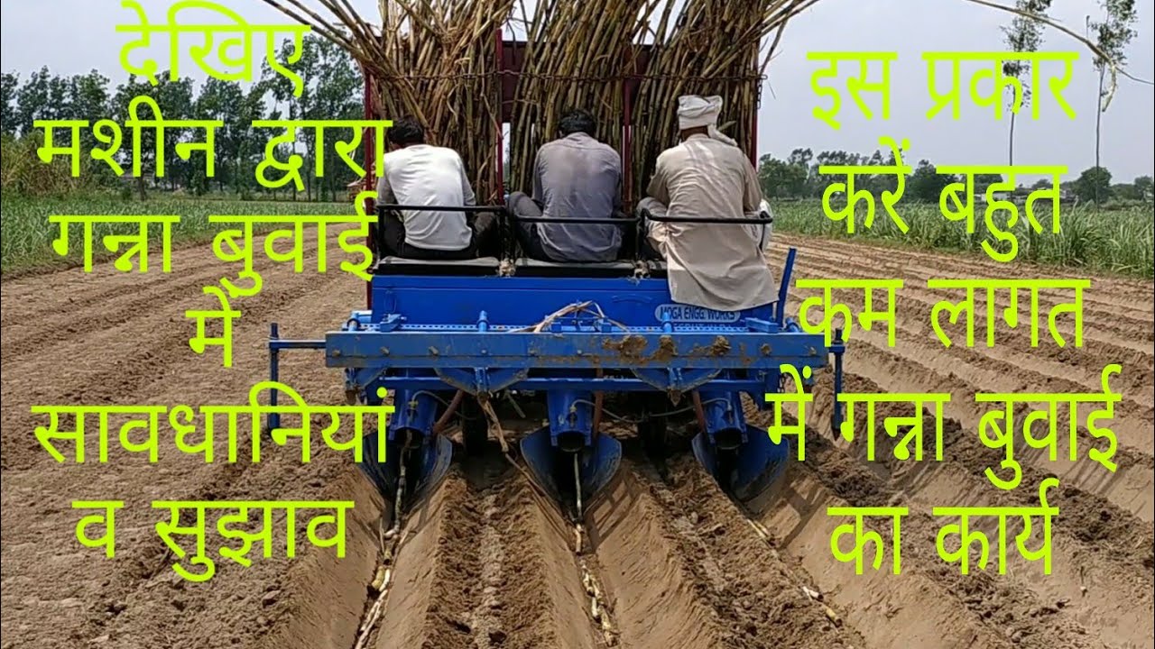 #tractorandfarming Sugarcane planting by Machine, Duetz Fahar Tractor