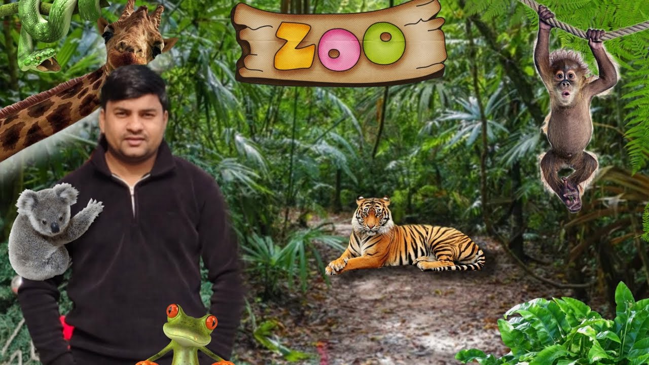 Delhi Zoo All Animals Delhi zoo all update 2026 delhizoo2026 