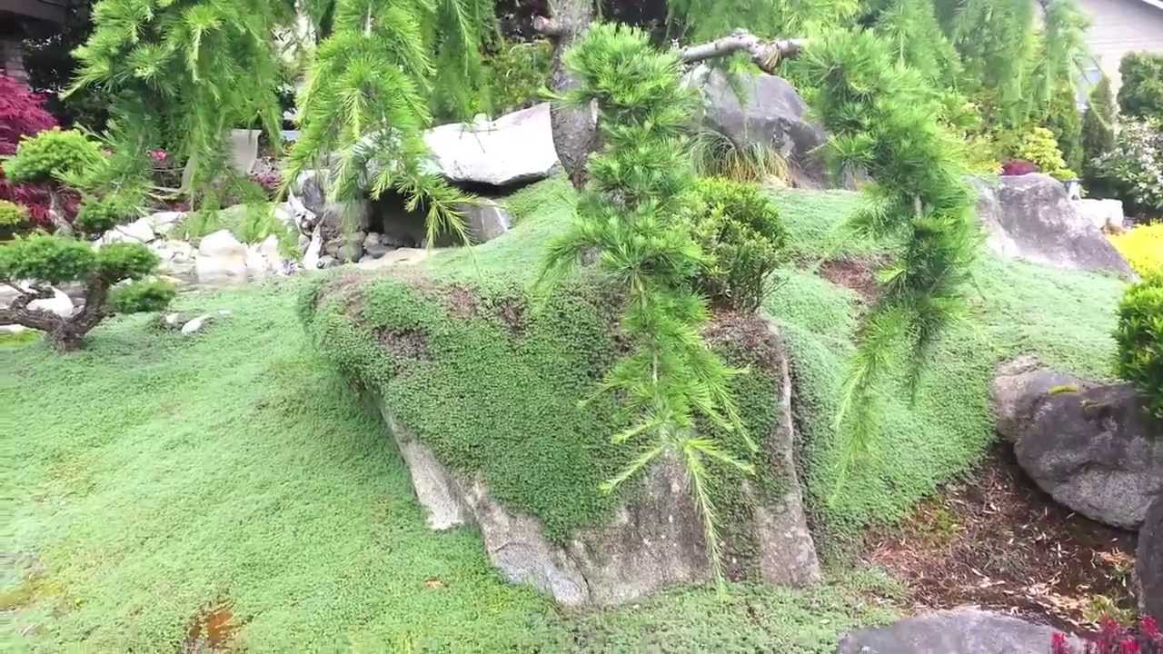 Japanese Style Garden