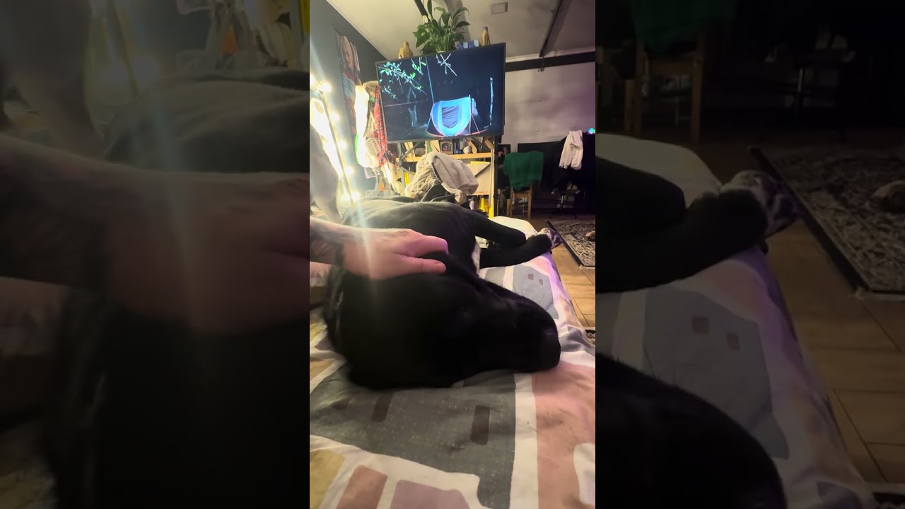 Тони спокойна за своих малюток 🥰