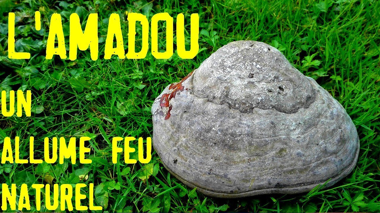 Comment utiliser l'amadou pour allumer un feu