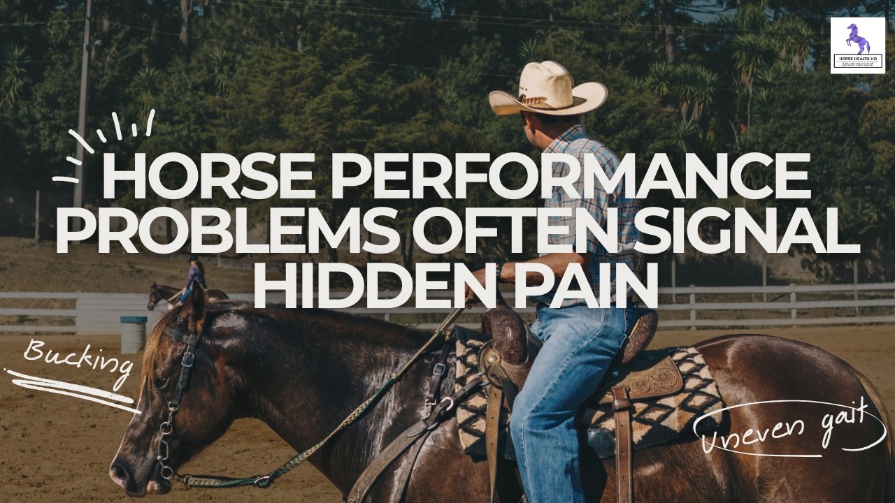 Horse Performance Problems Often Signal Hidden Pain