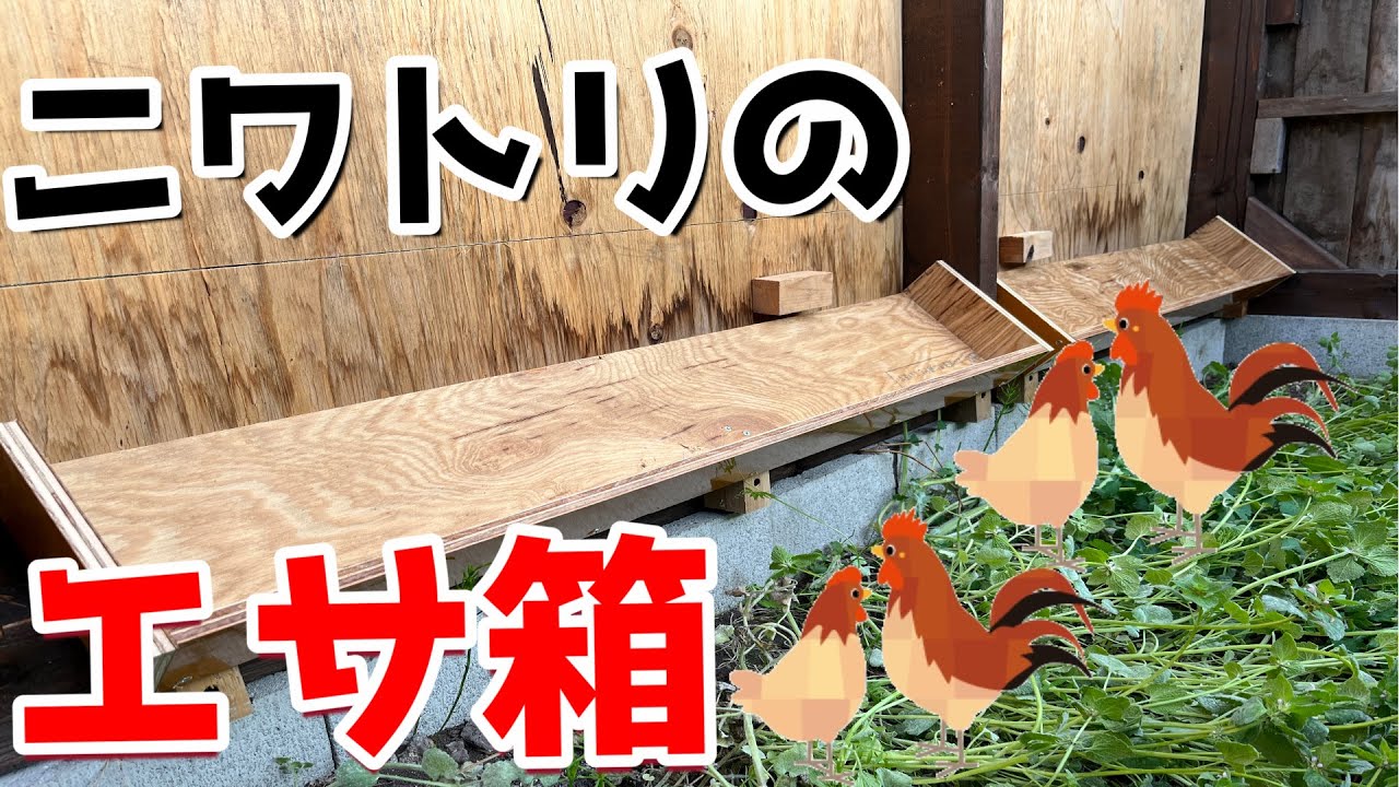 [DIY]ニワトリのエサ箱を簡単に作りました！