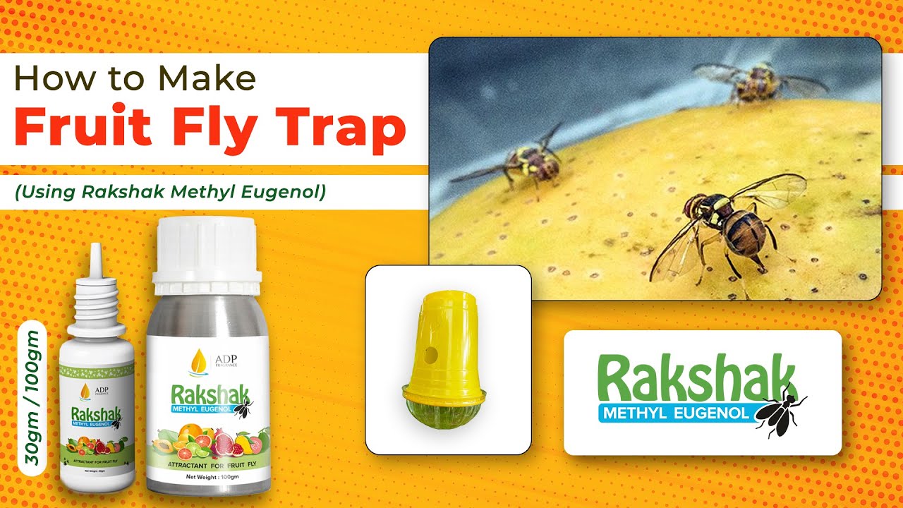 Rakshak Methyl Eugenol // Pheromone Lure // Bactrocera Dorsalis // Low Cost Fruit Fly Trap // ADP