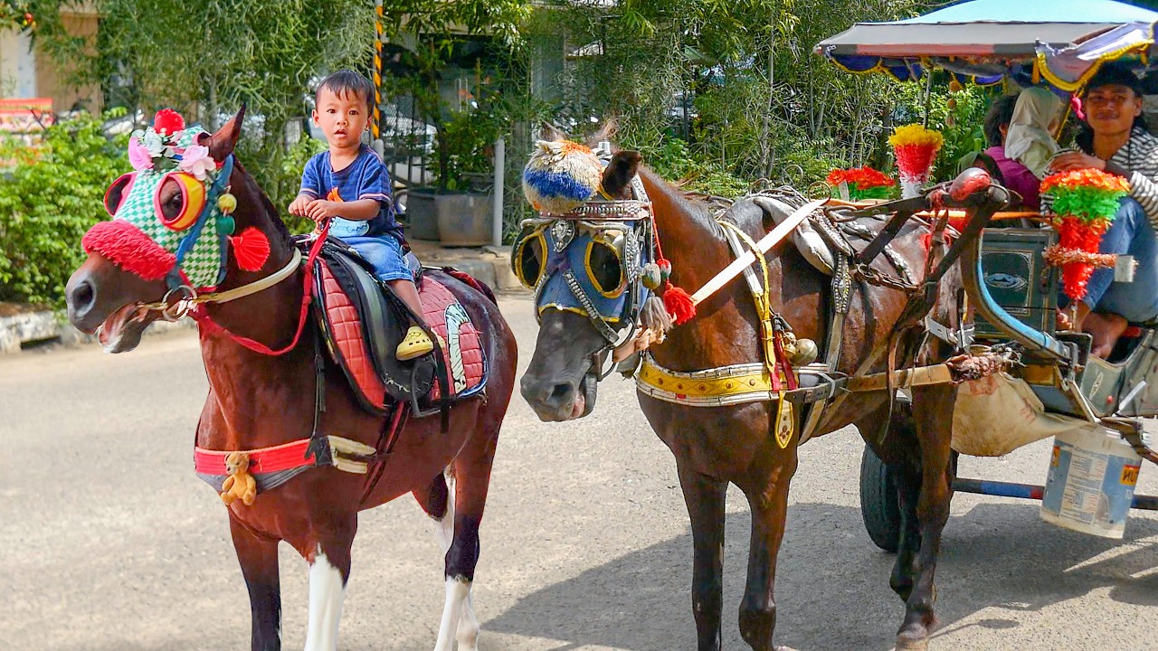 NAIK DELMAN ISTIMEWA 🐎 LAGU ANAK ANAK - KUDA DELMAN