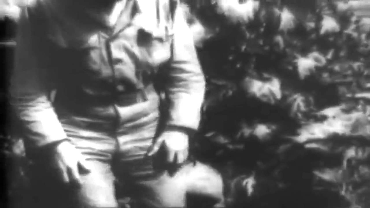 Korean War: Captured North Korea Combat Footage (full)