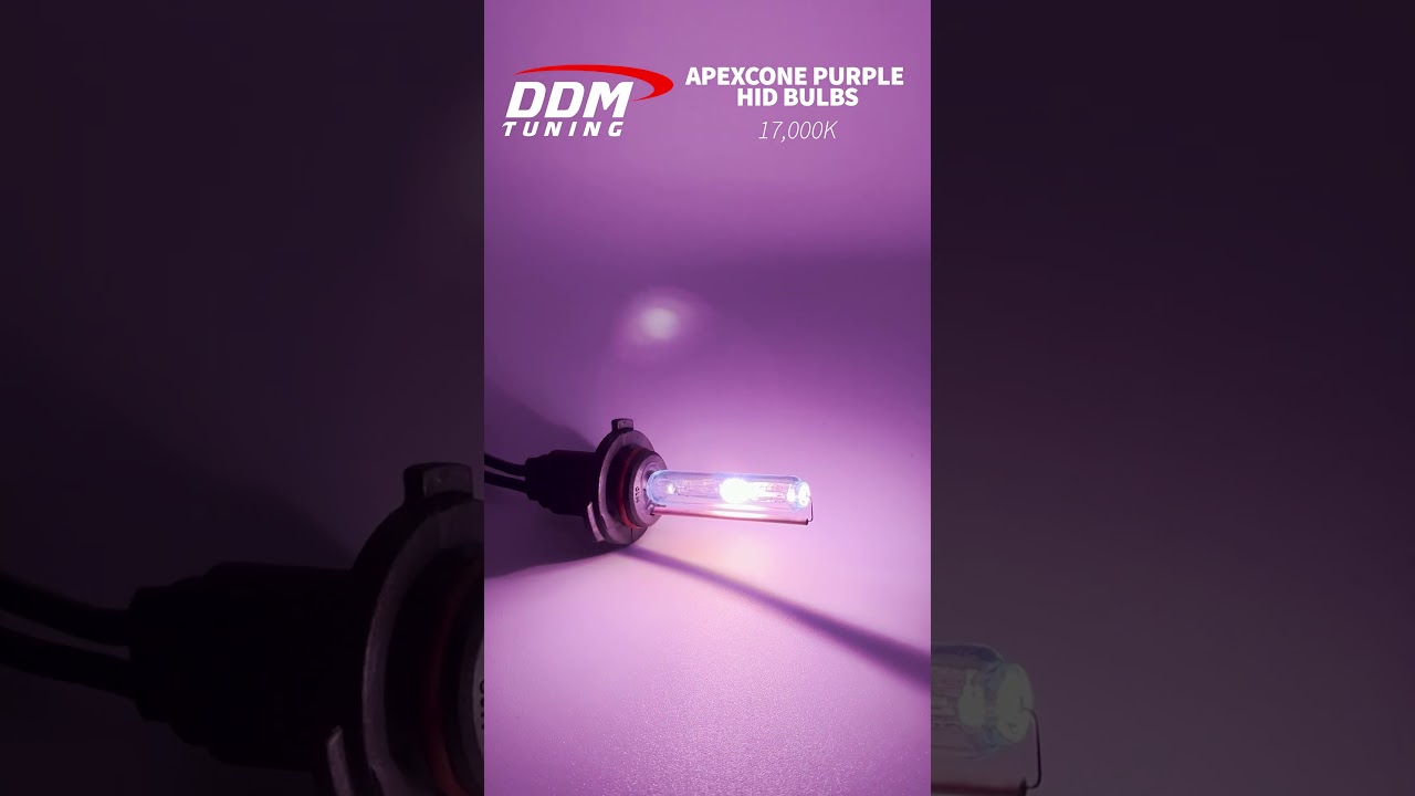 Bright Purple HID Bulbs?! Get Custom Fog Lights with DDM Tuning Apexcone HID Bulbs