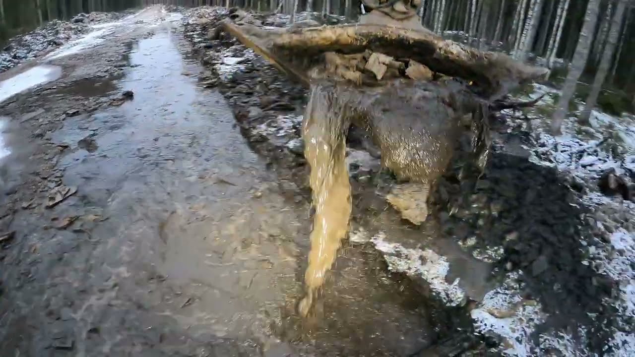 Footage From Forest Work - Part 23