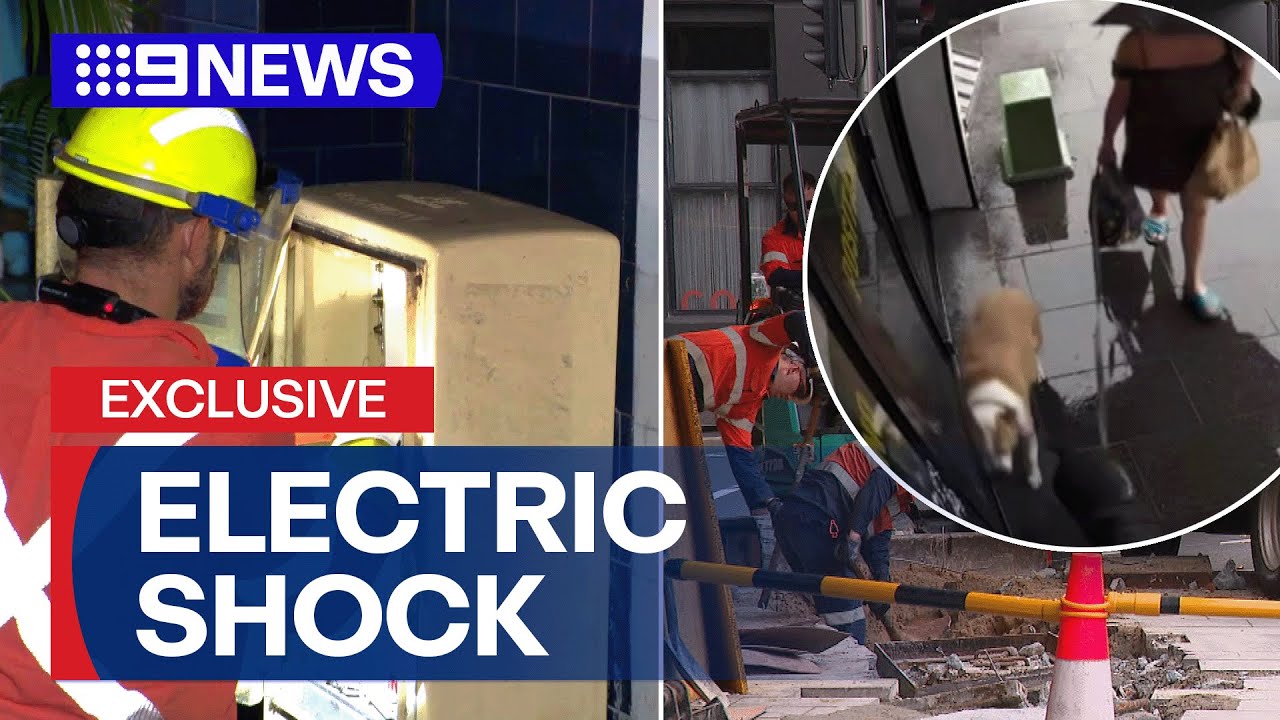 Woman's dog killed after stepping on electrified manhole | 9 News Australia