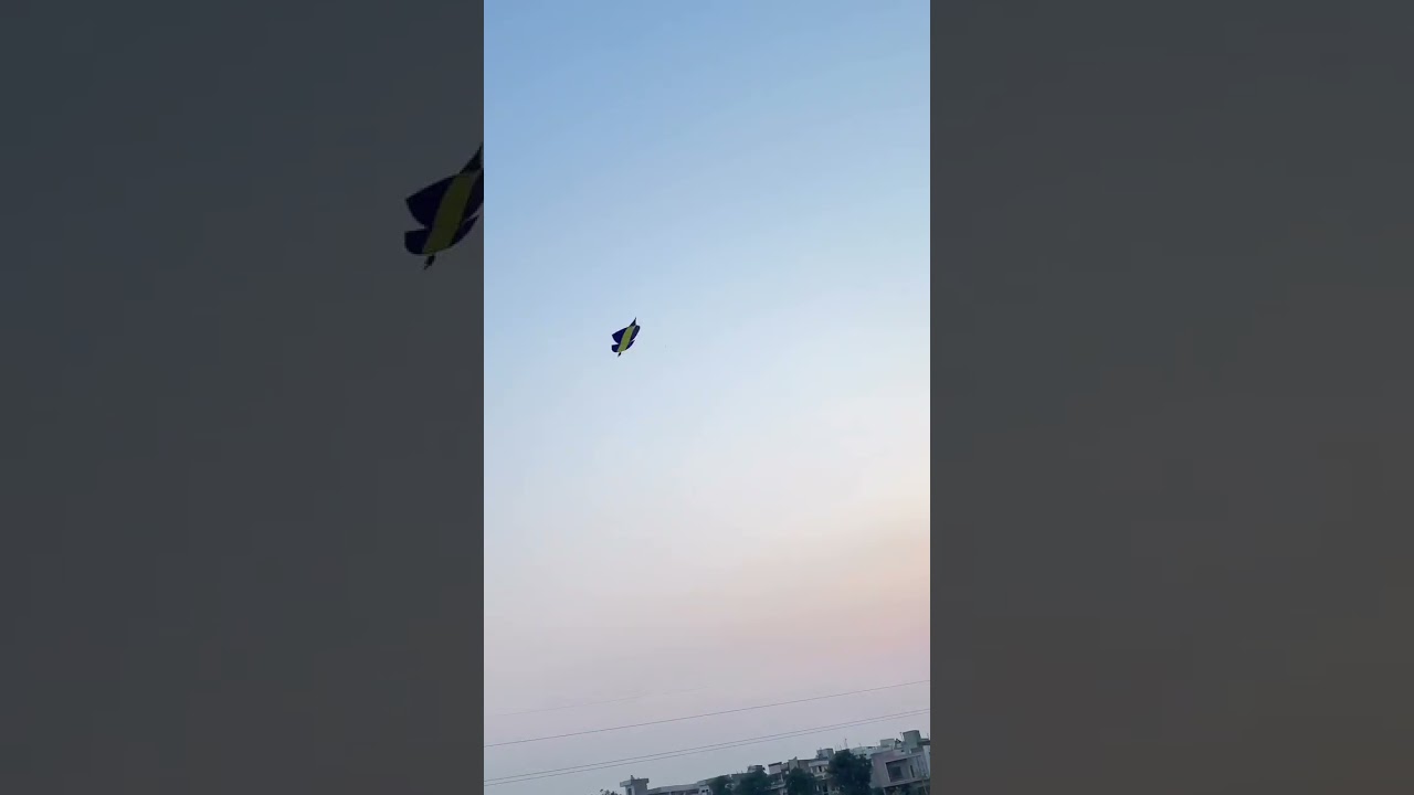 Teera patang 🪁🌪️ #youtubeshorts #kite #kiteflying #shorts #1million #shortvideo #youtubeshorts#viral