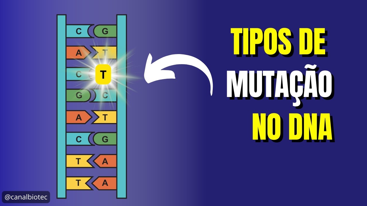 Tipos de Mutação no DNA | Genética Humana e Médica
