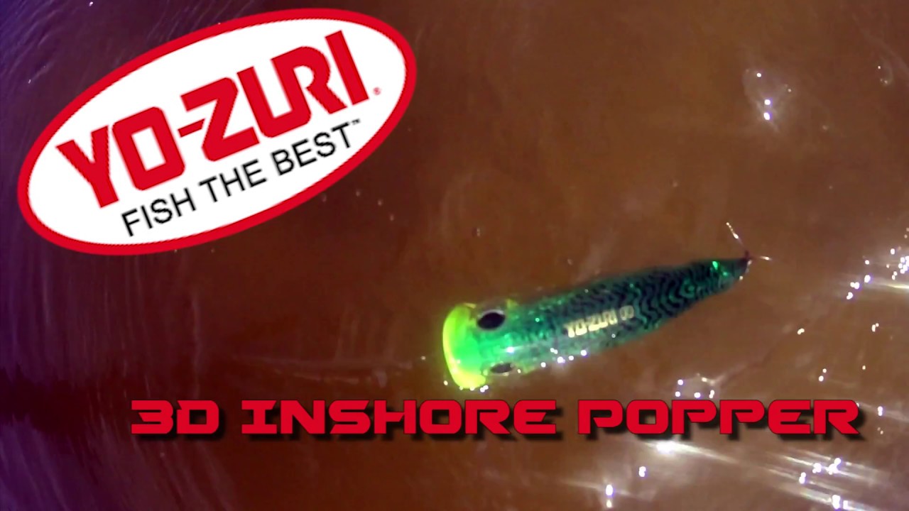 Inventive Fishing Gear Review: Yo-Zuri 3D Inshore Popper