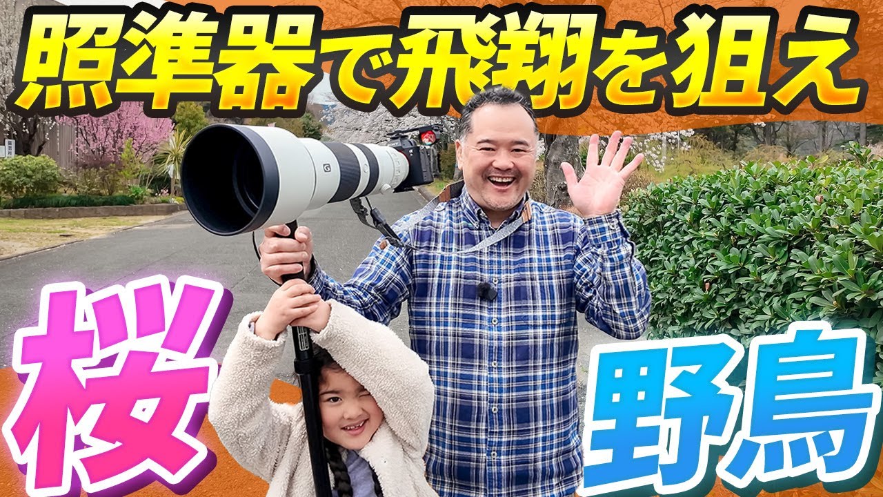 奇跡の一枚は撮れたのか!? 桜と野鳥を追いかけて親子で春の撮影チャレンジ！【Sony FE 400-800mm F6.3-8 G OSS】