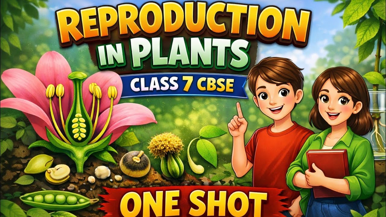 Plants Reproduction  - Class 7 - Science CBSE NCERT