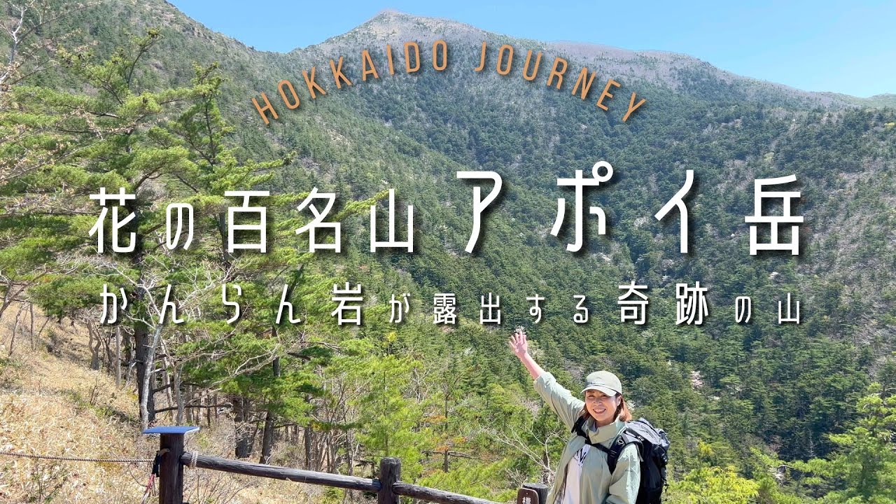 花の百名山【様似】アポイ岳登山【北海道】かんらん岩が露出する奇跡の山