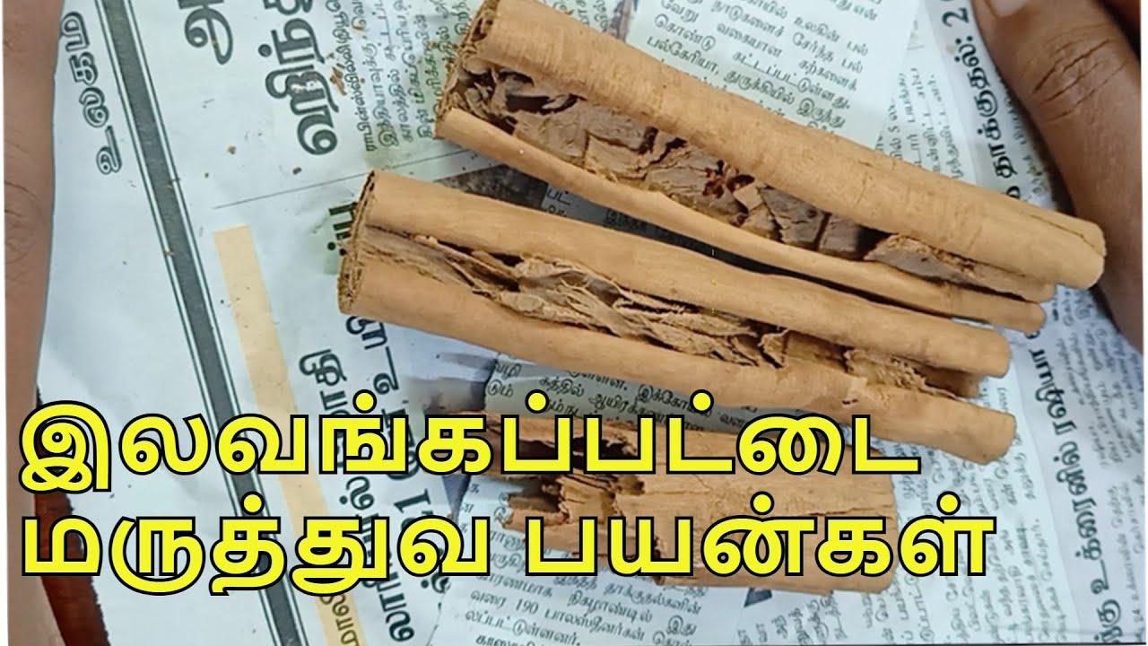 இலவங்கப்பட்டை மருத்துவ பயன்கள் | Cinnamon medicinal benenifts