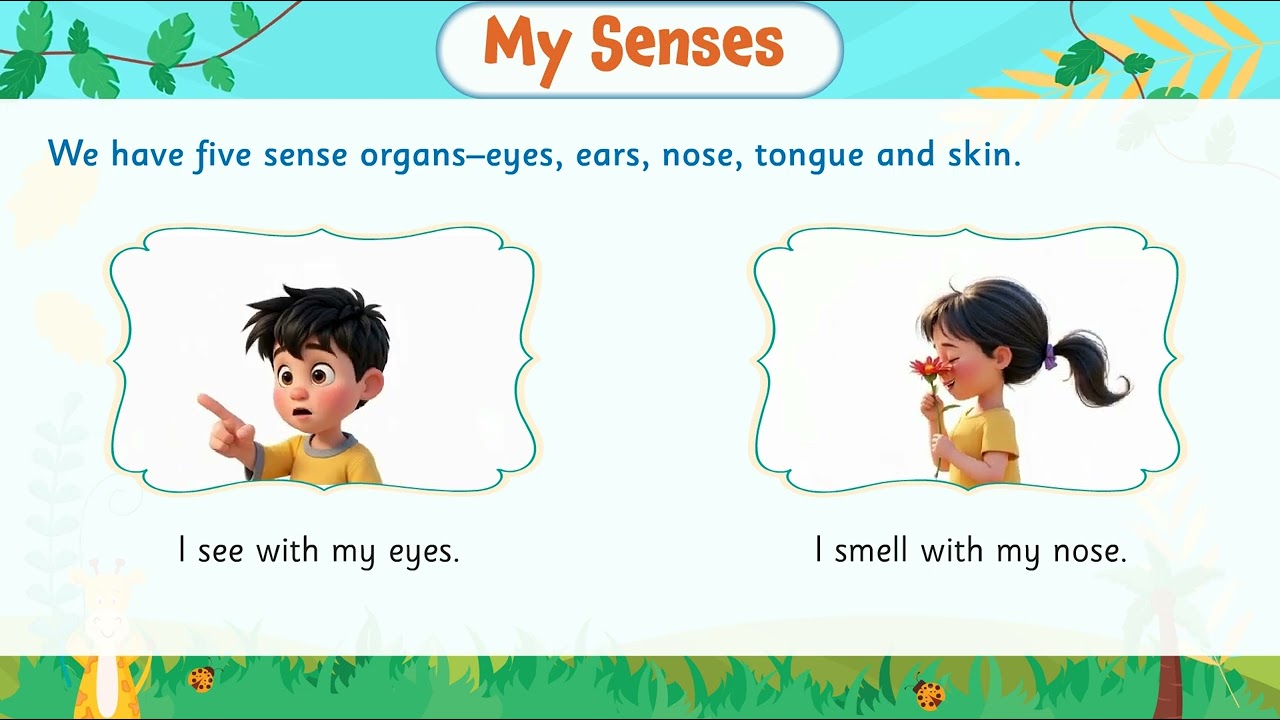 Ch 3 | Fusion Mind | General Awareness | Level B | My Senses |  For children