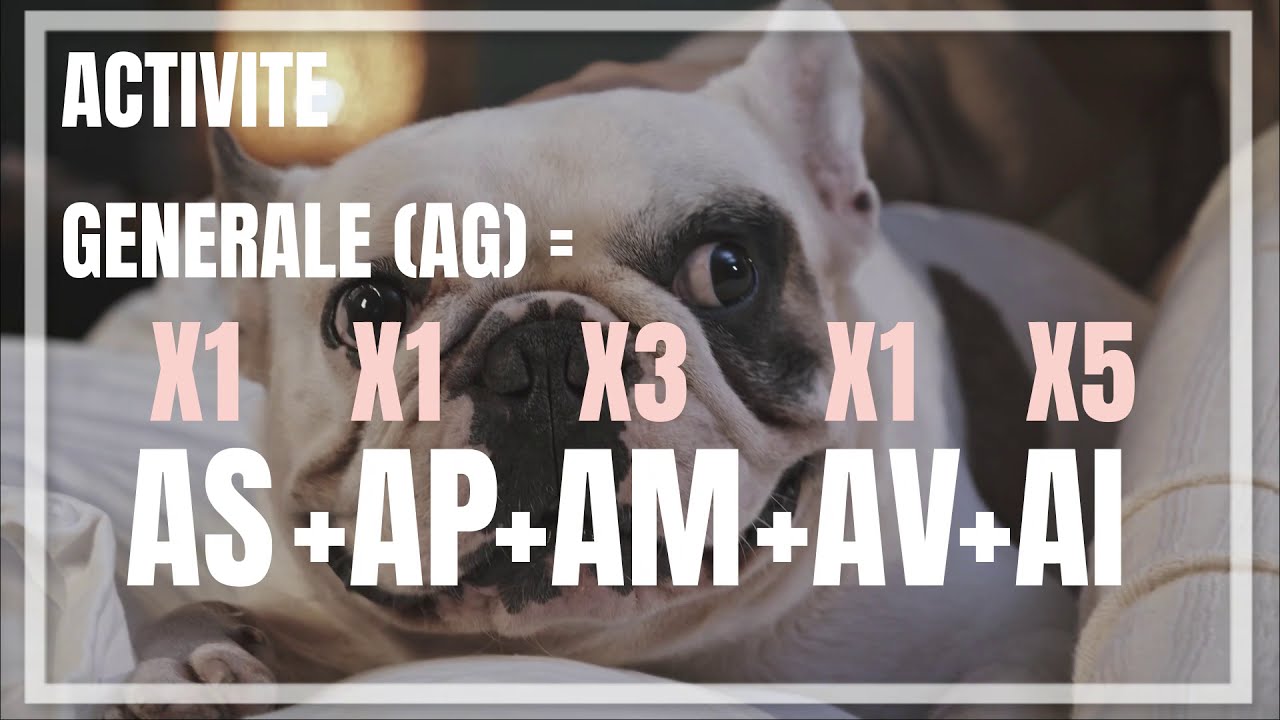 La Formule d'Activité Générale du chien du Dr Joël Dehasse