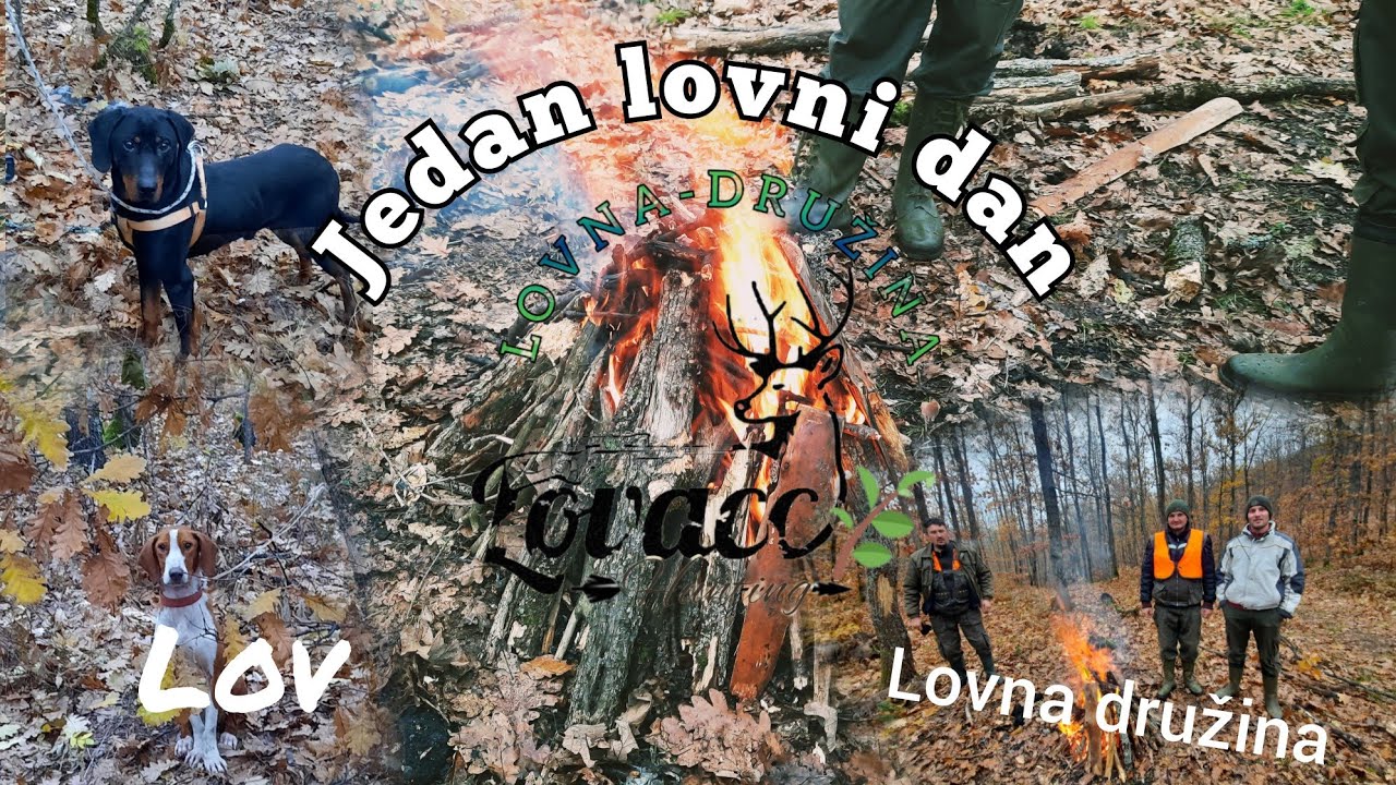 Jedan lovni dan 🌲 